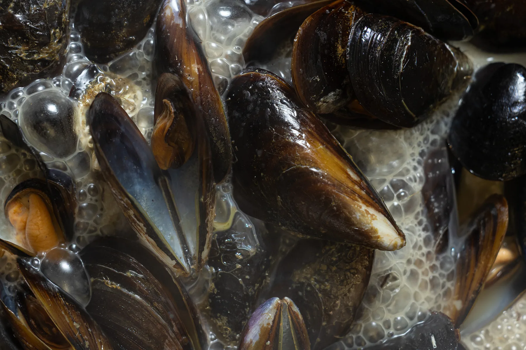 Impepata di cozze