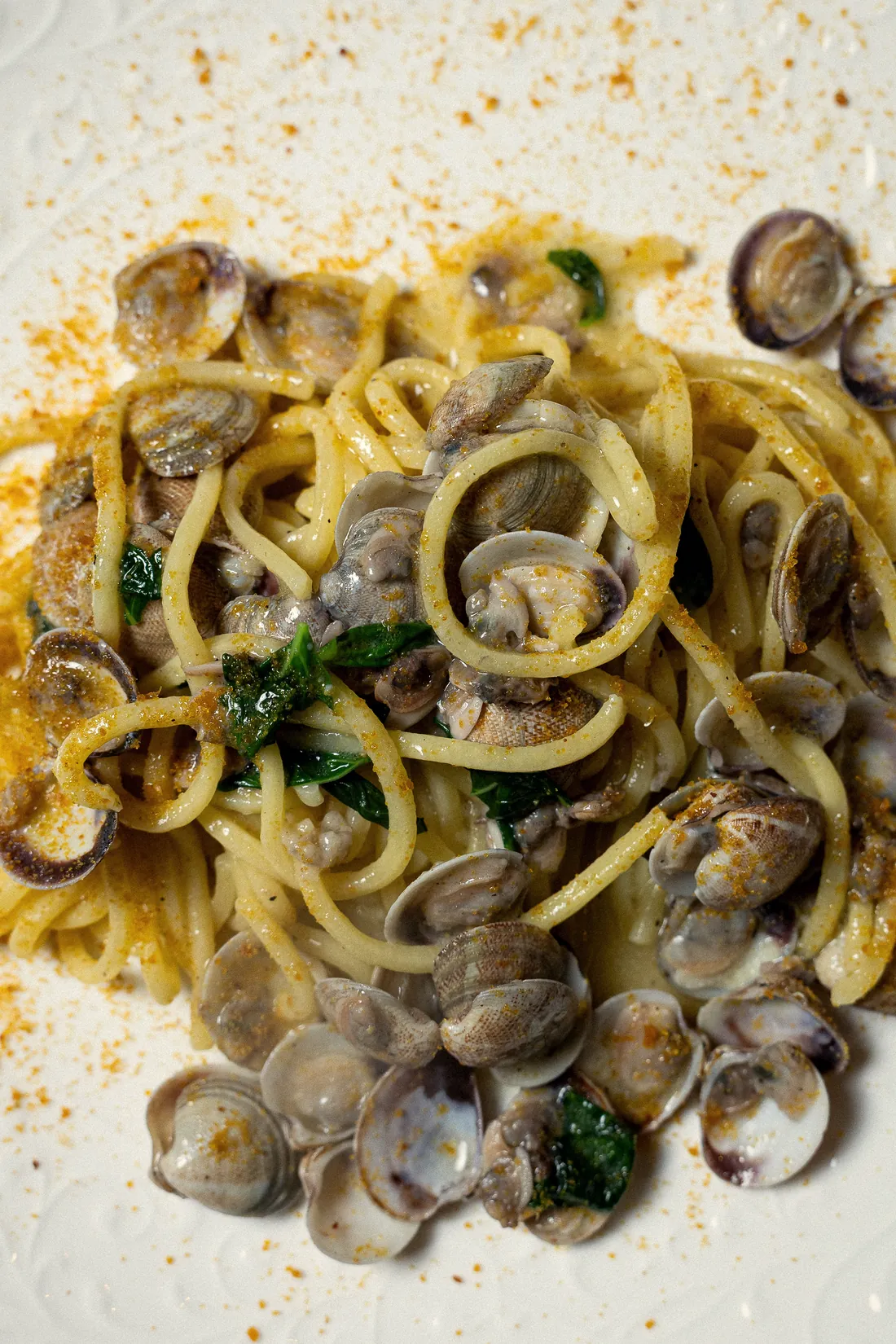 Spaghettone alle vongole visto dall’alto